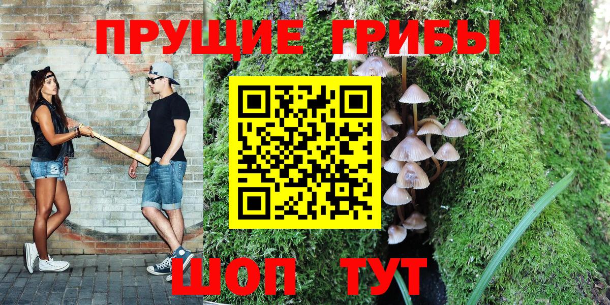 Каменск-Шахтинский  Галлюциногенные грибы мухоморы  Вход с VPN 