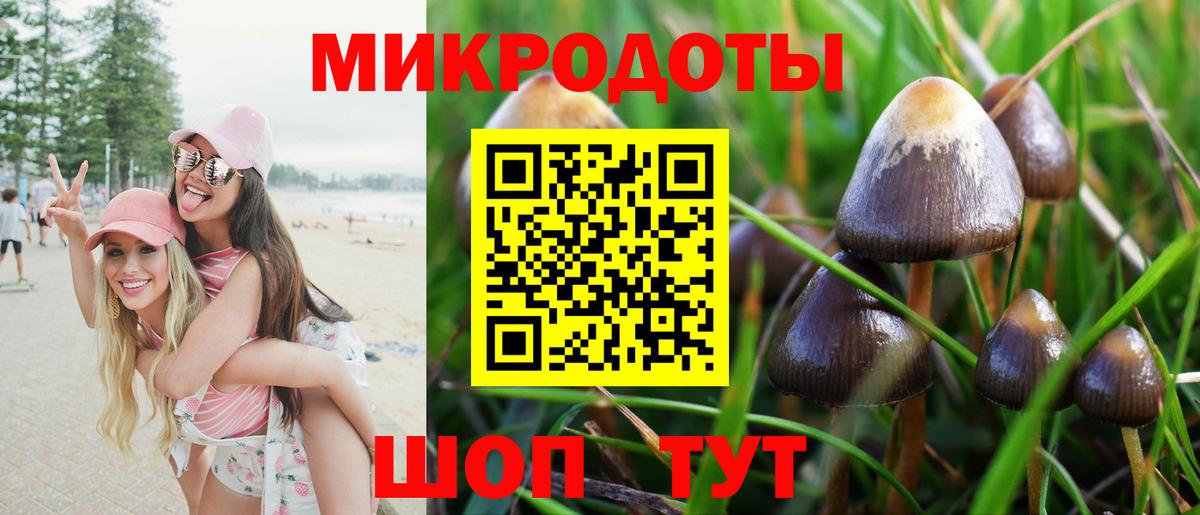 Галлюциногенные грибы MAGIC MUSHROOMS Каменск-Шахтинский